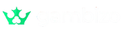 Gambizo, Gambizo Güncel Linkine Erişin